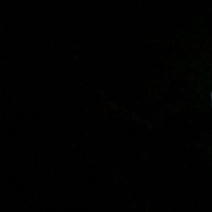 Meet your Posher, Kiara